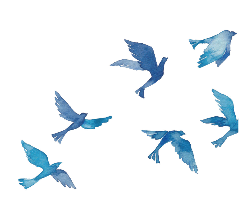Watercolor of blue birds in flight